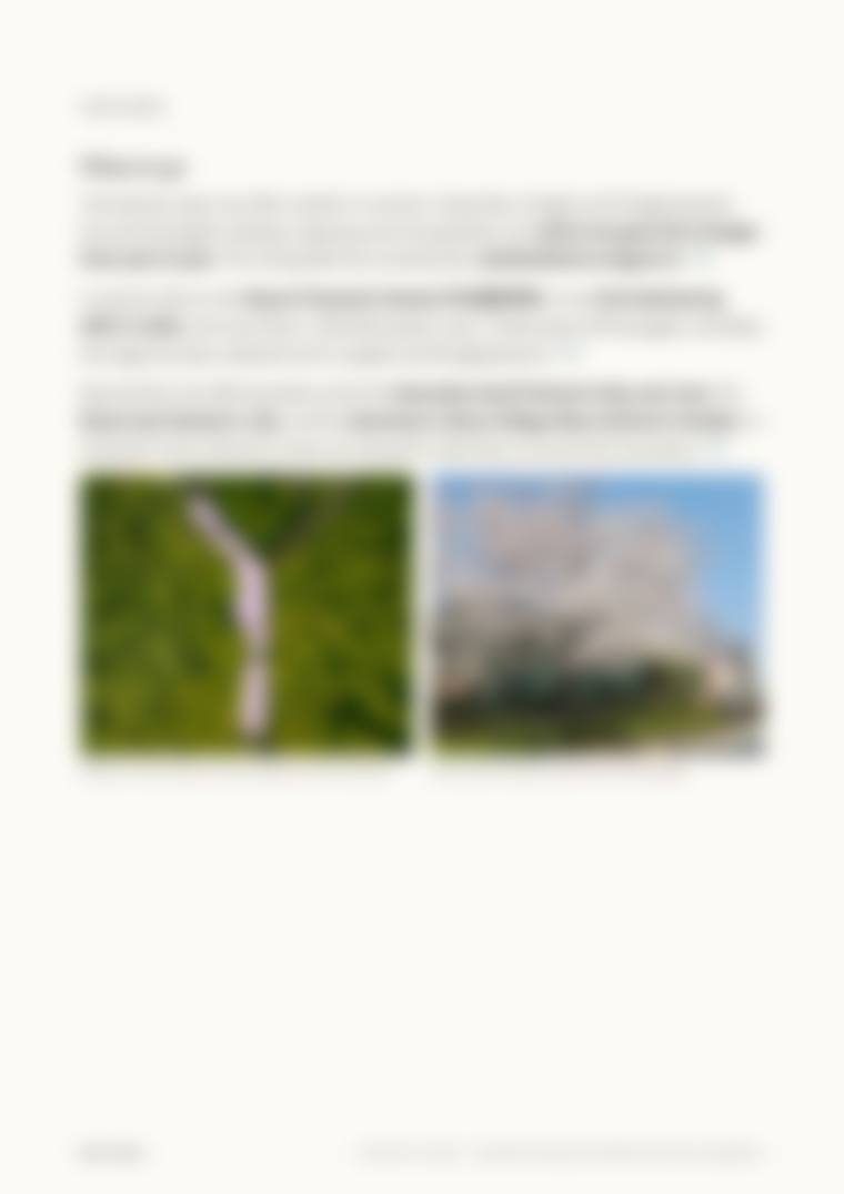 Locked page preview, blurred