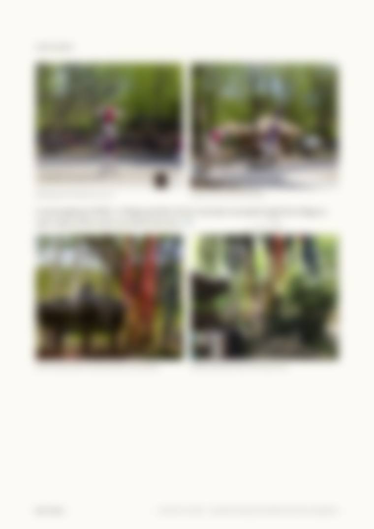 Locked page preview, blurred
