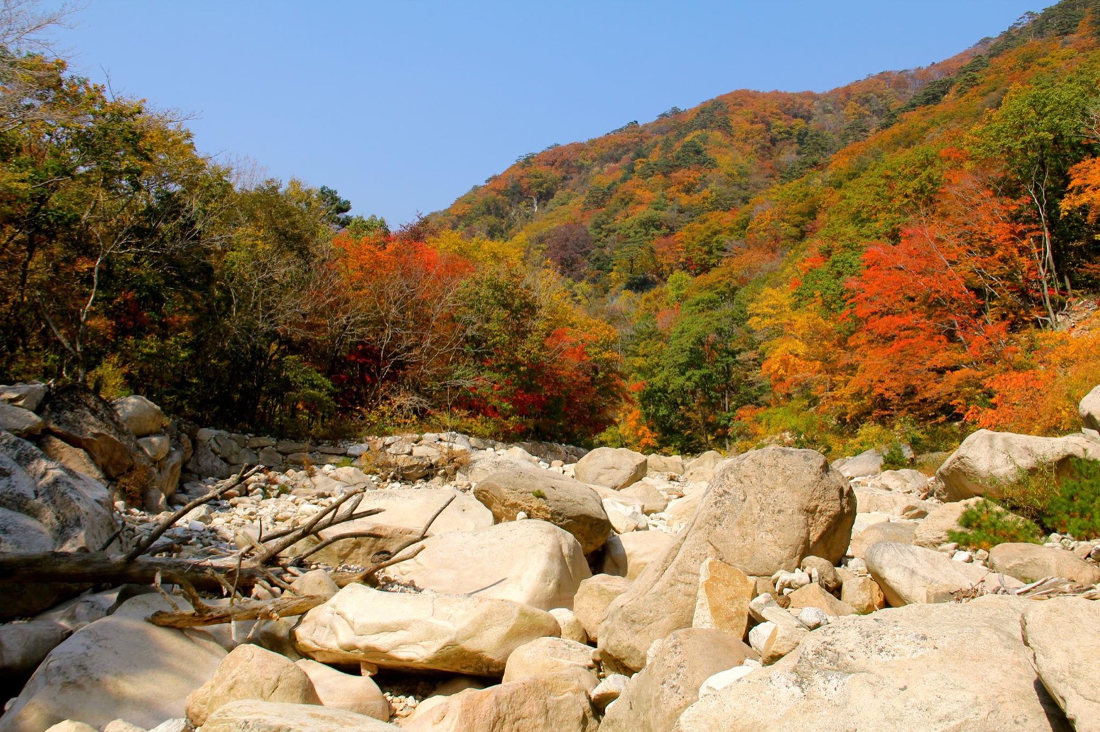 Hillsides covered in red, orange and yellow autumn leaves rise above a dry, boulder-filled stream bed in Seoraksan National Park
